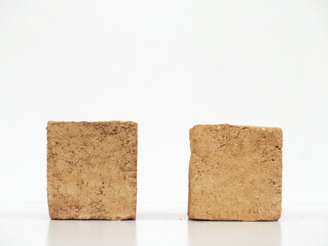Glutinous rice flour paste on Soil A (Left) and Soil B (Right)