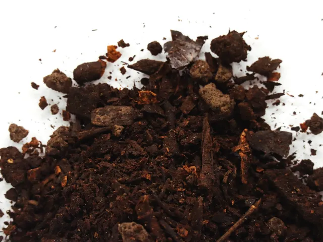 23-1000-352-b SOIL TRUST COMPOST_05