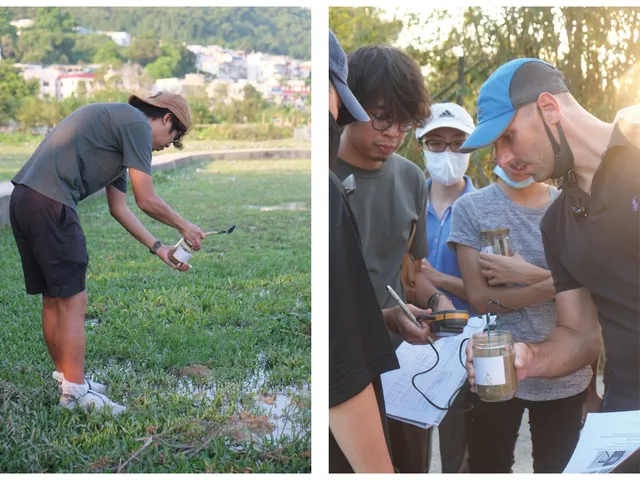 Soil sampling in Pui O