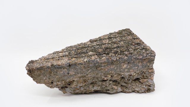 Site Fragment 1