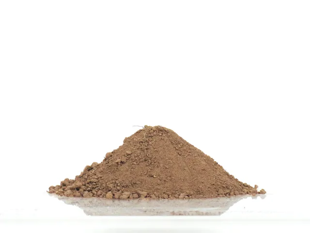 Tin_Shui_Wai_Soil_08