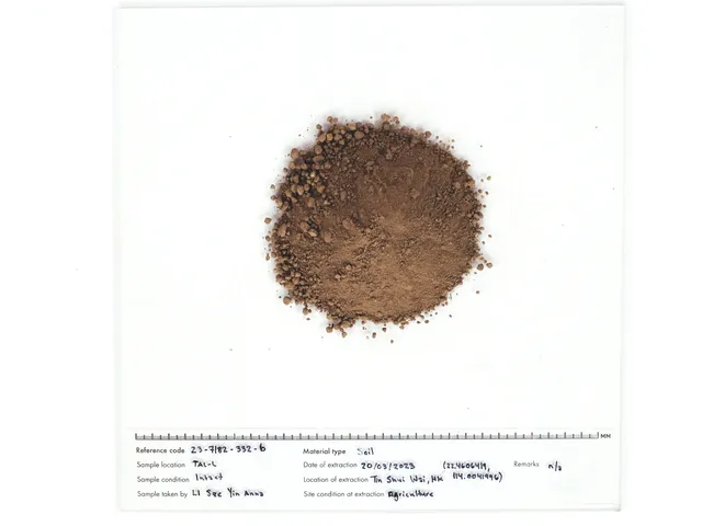 Tin_Shui_Wai_Soil_10