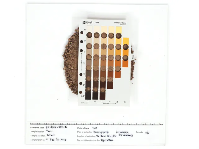 Tin_Shui_Wai_Soil_11