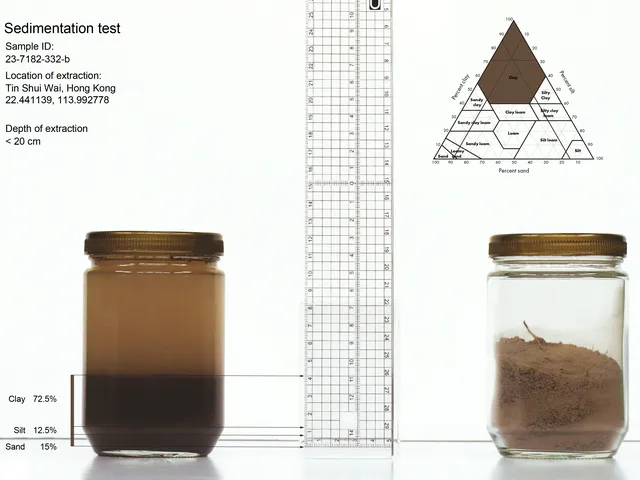 Tin_Shui_Wai_Soil_16-01